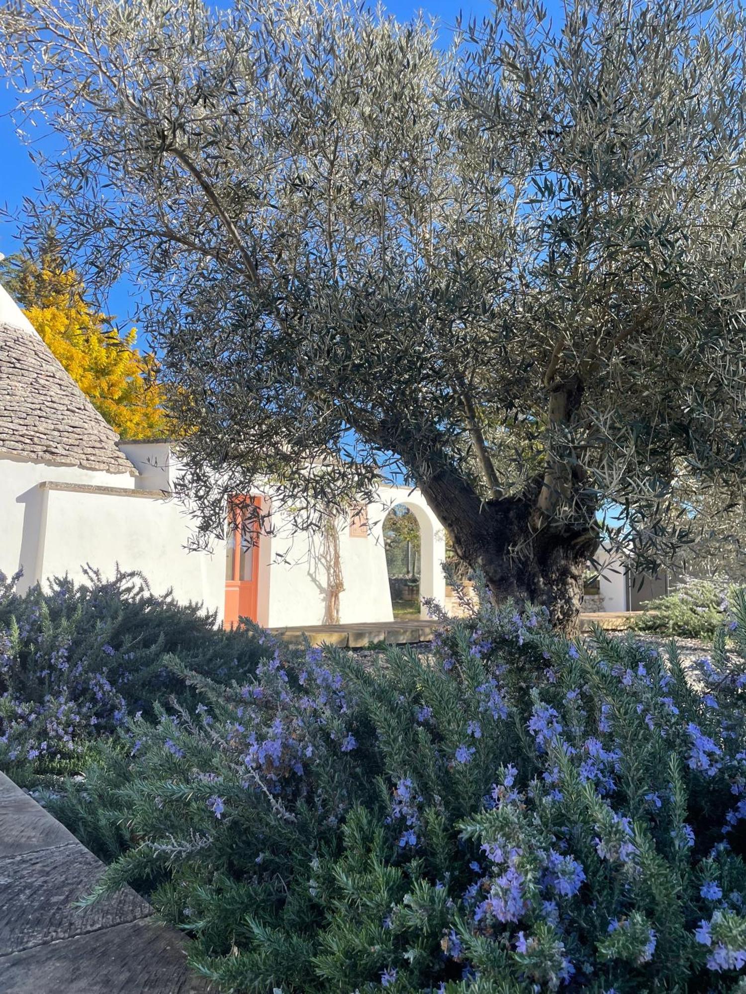 Trullo Panna Fragola - Exclusive Four Bedroom Villa & Private Pool マルティナ・フランカ エクステリア 写真